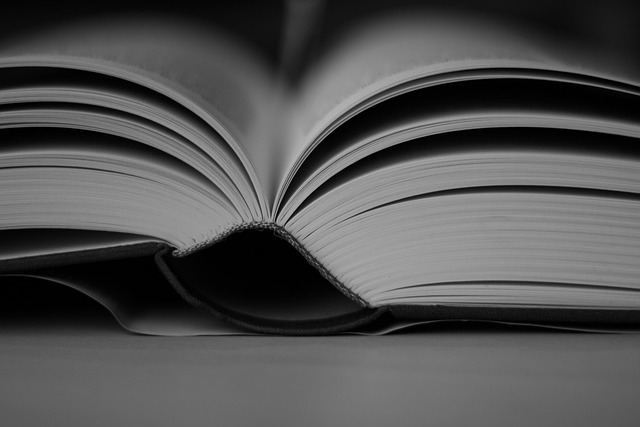 データ入力代行とDM